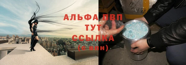 гашик Аркадак