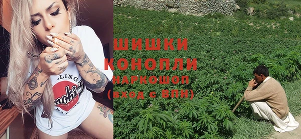 гашик Аркадак