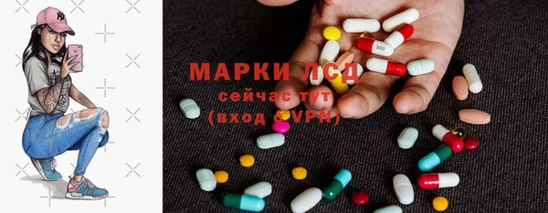 гашик Аркадак