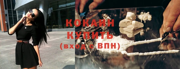 гашик Аркадак