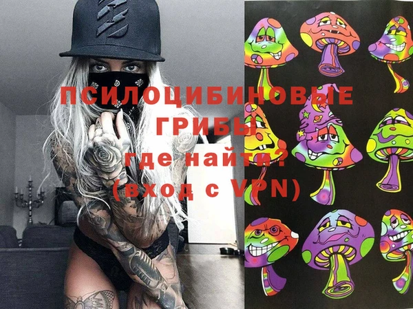 гашик Аркадак