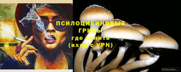 гашик Аркадак