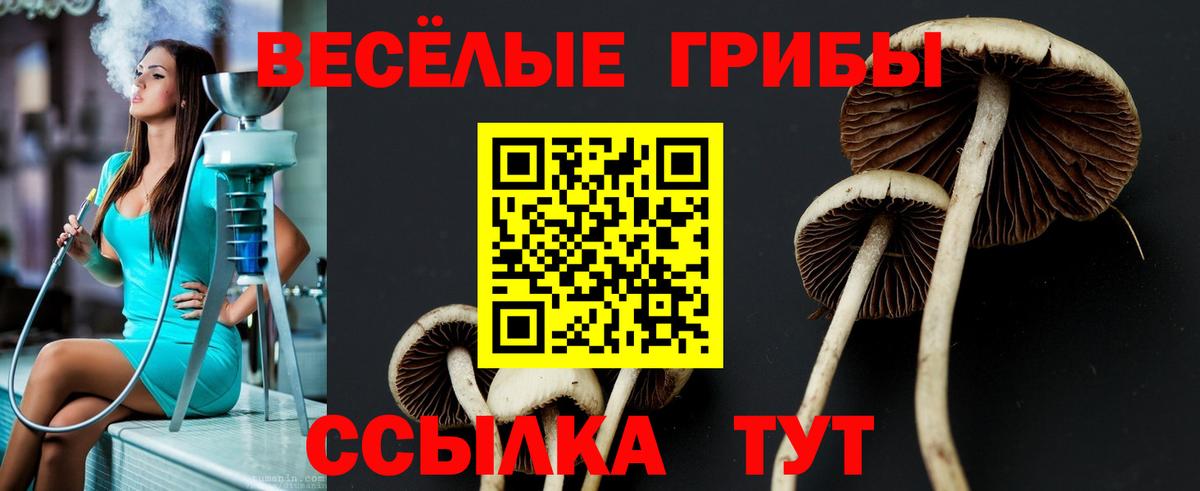 Псилоцибиновые грибы GOLDEN TEACHER Учалы